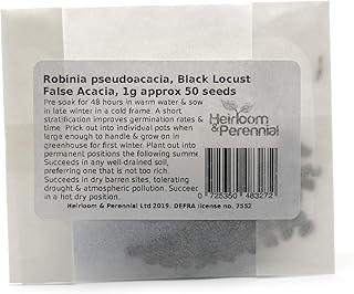 Robinia pseudoacacacia, morue noire, pseudoacacacia, 1g environ 50 graines, arbre agricole pionnier. La boutique en ligne DIAYTAR COTE D'IVOIRE se distingue par son service client de haute qualité et sa livraison rapide. Les clients peuvent profiter d'une expérience d'achat sans tracas, grâce à la navigation facile et intuitive du site. DIAYTAR COTE D'IVOIRE est la boutique en ligne la plus fiable et la plus populaire en Côte d'Ivoire.