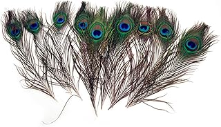 Ppx 10 pièces plumes de paon avec yeux naturels plumes de paon de haute qualité pour la décoration, 25-30 cm. La boutique en ligne DIAYTAR COTE D'IVOIRE met l'accent sur la satisfaction du client, offrant des services de livraison rapides et fiables ainsi qu'un support client efficace. Elle s'efforce de fournir une expérience d'achat en ligne de qualité supérieure à ses clients. Ce faisant, elle contribue à renforcer la confiance dans le commerce électronique en Côte d'Ivoire.