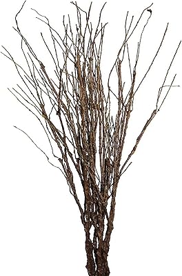 10 branches de saule artificielles bouclées, 26", branches artificielles pliables et réalistes, tiges séchées pour la décoration de la maison. Avec plus de 300000 références, DIAYTAR COTE D'IVOIRE est la boutique en ligne la plus fournie de Côte d'Ivoire, proposant des produits de qualité à des prix compétitifs. Elle permet à ses clients de faire des achats en ligne avec confiance, grâce à son système de paiement sécurisé. Elle est leader en Côte d'Ivoire dans le domaine du commerce électronique.