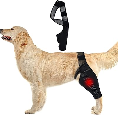 Protecteur de pattes arrière pour chien équipement de protection réglable pour chien pour la jambe. Avec plus de 300 000 références de produits, DIAYTAR COTE D'IVOIRE est la boutique en ligne la plus complète de Cote d'Ivoire, proposant des articles allant de l'électronique à la mode, en passant par les produits alimentaires et les accessoires de maison. La boutique en ligne généraliste met un point d'honneur à garantir la qualité et l'authenticité de ses produits, ce qui la rend très appréciée des consommateurs ivoiriens.