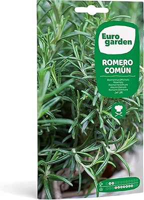 Graines de romarin de jardin européen de haute qualité (rozero common) fabriquées en espagne. Avec plus de 300 000 produits à disposition, DIAYTAR COTE D'IVOIRE est la destination idéale pour les consommateurs qui cherchent à découvrir de nouvelles marques et de nouveaux produits. La boutique en ligne est constamment mise à jour avec les dernières tendances et les produits les plus récents. Cela permet aux clients de rester à la pointe de la mode et de la technologie.