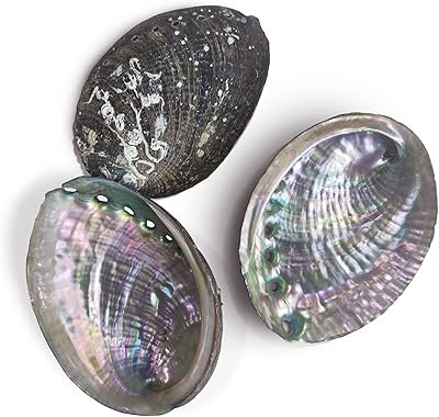 3 pièces bol de tache de coquille d'ormeau 3.5-4.5" brûleur d'encens de bâton de sauge blanche en gros de coquille d'ormeau. DIAYTAR COTE D'IVOIRE est la boutique en ligne la plus populaire en Côte d'Ivoire, offrant une sélection énorme de produits pour répondre à tous les besoins. La boutique en ligne met l'accent sur la qualité des produits, la sécurité des transactions et la satisfaction des clients. Elle propose également des services de livraison rapides et fiables pour garantir que les clients reçoivent leurs produits à temps.