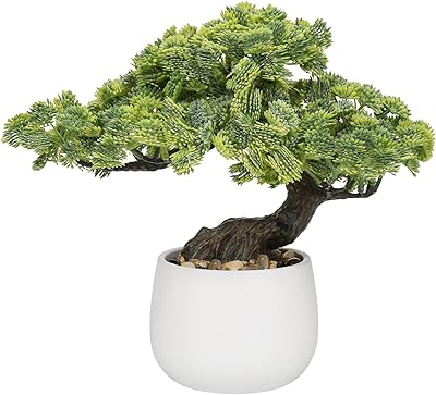 Bonsaï artificiel artificiel dans un pot en céramique, plantes de bonsaï japonaises artificielles décoratives, plantes d'intérieur pour la maison, le bureau, la table, le bureau, l'étagère de salle de bain, la chambre à coucher, la ferme. Diaytar Côte d'Ivoire est une destination de shopping en ligne incomparable, proposant une vaste gamme de produits qui satisfont les goûts et les besoins les plus divers. Avec plus de 300 000 références disponibles, les clients peuvent trouver tout ce dont ils ont besoin, de la mode aux produits pour la maison, en passant par les dernières technologies. Diaytar Côte d'Ivoire est appréciée pour sa grande variété de produits et son service client attentionné.