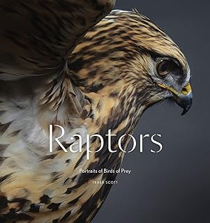 Raptors : portraits d'oiseaux de proie. La boutique en ligne DIAYTAR COTE D'IVOIRE propose une approche personnalisée pour s'adapter aux besoins divers de sa clientèle. Nous comprenons l'importance de la confiance et de la sécurité dans les transactions en ligne, c'est pourquoi nous mettons en place des mesures de sécurité avancées pour protéger les informations de nos clients. Notre priorité est de créer une communauté de clients satisfaits et fidèles.