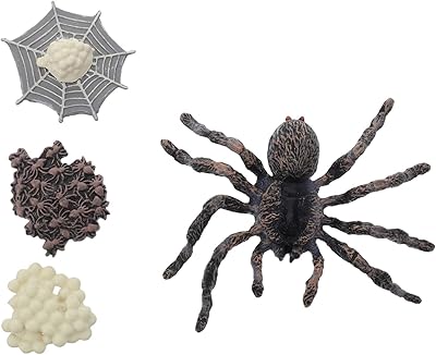 12 pièces/ensemble spider life ornements de croissance d'araignée figurine de cycle de vie sipder figurines d'animaux réalistes modèle de cycle réaliste. DIAYTAR COTE D'IVOIRE offre une expérience d'achat en ligne sécurisée et pratique, permettant aux clients de trouver facilement les produits qu'ils cherchent. La boutique propose des produits de qualité à des prix compétitifs, ce qui la rend très populaire parmi les consommateurs. Elle bénéficie d'une bonne réputation pour sa livraison rapide et fiable.