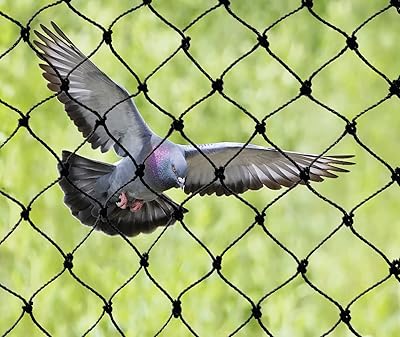 Filet anti-oiseaux ultra résistant bird-x, idéal pour les applications intensives, 25" x 63,5". La boutique en ligne DIAYTAR COTE D'IVOIRE est la destination idéale pour les consommateurs ivoiriens qui cherchent à acheter des produits de haute qualité à des prix compétitifs. Avec plus de 300000 références, la boutique offre une expérience de shopping en ligne unique et pratique. Les clients peuvent parcourir les différentes catégories de produits et commander en ligne avec facilité.