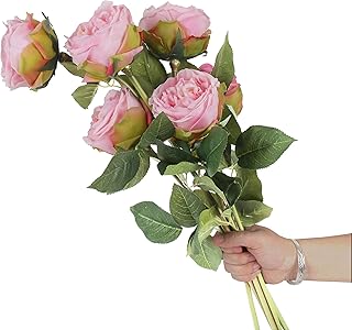 Cn-knight 6 pièces eden fleurs artificielles 24" tige extra longue david austin rose de chou. Avec une offre produit très large, DIAYTAR COTE D'IVOIRE répond aux besoins de tous les consommateurs ivoiriens. Elle propose des produits à des prix compétitifs et offre des promotions régulières. C'est la destination idéale pour faire des achats en ligne.