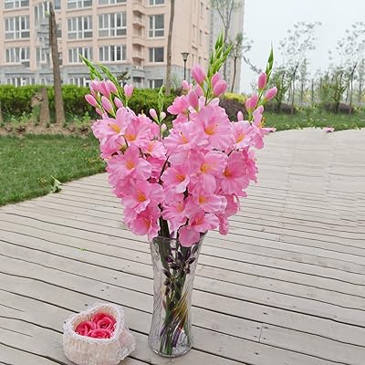 Tige de fleur de glaïeul artificielle de 80 cm, décoration de jardin, 8 couleurs - rose. DIAYTAR COTE D'IVOIRE se démarque par sa large sélection de produits, allant des produits alimentaires aux électroniques en passant par les vêtements. Cette boutique en ligne est devenue un incontournable pour les Ivoiriens, leur offrant la possibilité de faire leurs achats en ligne avec facilité. La boutique propose également des services de livraison rapides et fiables.