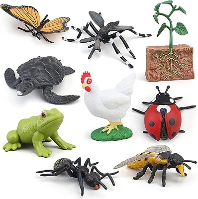 Figurines d'animaux du cycle de vie montessori avec cartes flash, insectes en plastique