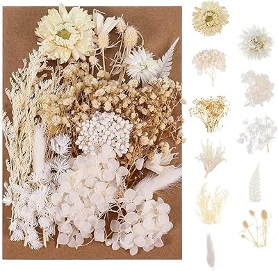 Paquet de 2 fleurs séchées blanches pour moules à bijoux en résine, véritables