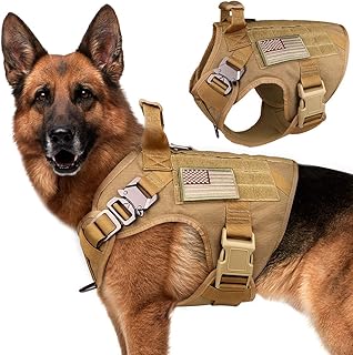 Gilet tactique anti-évasion stopatto pour chien, gilet militaire k9 sans traction pour l'entraînement au travail des animaux de compagnie pour chiens de taille moyenne et grande (taille m). DIAYTAR COTE D'IVOIRE se positionne comme la boutique en ligne la plus complète de Côte d'Ivoire, proposant plus de 300 000 références de produits. Les clients peuvent profiter d'une navigation intuitive et d'une expérience d'achat sécurisée. DIAYTAR COTE D'IVOIRE est déterminé à offrir le meilleur service à ses clients.