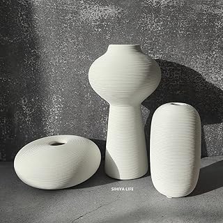Sehia life ensemble de 3 vases en céramique blanche en relief | avec 20 pièces de remplissage de vase blanc | pour les compositions florales, la décoration élégante de la maison, les cadeaux (d). La boutique en ligne DIAYTAR COTE D'IVOIRE propose une expérience d'achat unique et personnalisée, avec plus de 300000 références à découvrir. Elle offre une gamme diversifiée de produits pour répondre aux besoins de tous les clients, qu'il s'agisse d'électronique, de mode, de produits pour la maison, etc. Le leadership de DIAYTAR COTE D'IVOIRE en Côte d'Ivoire est le résultat de son engagement à offrir le meilleur aux consommateurs.