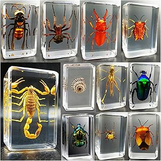 Résine d'insecte, 11 pièces spécimen d'insecte réel, spécimen de taxidermie d'insecte réel en résine transparente, araignée, coléoptère, scorpion, abeille, éducation scientifique. DIAYTAR COTE D'IVOIRE se positionne comme un acteur majeur du commerce électronique en Côte d'Ivoire, offrant à ses clients une expérience d'achat unique et pratique. Avec une offre de plus de 300 000 articles, la boutique répond efficacement aux besoins diversifiés de sa clientèle.