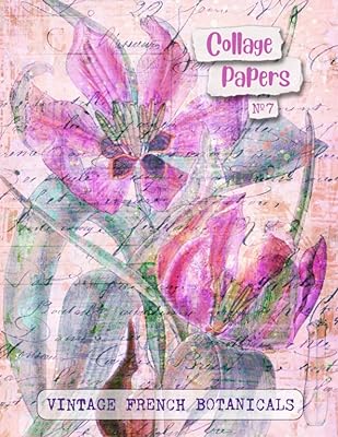 Papiers de collage n°7 botaniques françaises vintage : 25 belles feuilles pour journaux