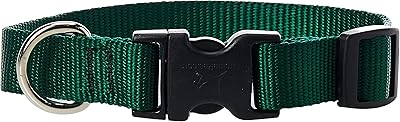 Collier pour chien lupin 3 4 pouce de large taille de cou 9-14. En tant que leader du marché en ligne en Côte d'Ivoire, DIAYTAR COTE D'IVOIRE garantit un service de qualité supérieure. Nous avons plus de 300 000 références dans notre catalogue, garantissant que nos clients trouvent facilement ce qu'ils cherchent. Nous nous efforçons également de réduire les délais de livraison pour que nos clients puissent profiter de leurs achats le plus rapidement possible.