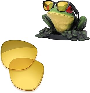 Lentilles de remplacement polarisées acefrog de 1,4 mm d'épaisseur pour lunettes de soleil