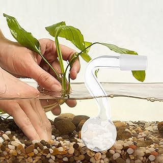6 pièces samoo aquarium petits tubes de lys en verre tube d'écoulement d'eau en verre pour accessoires d'aquarium d'aquarium planté. DIAYTAR COTE D'IVOIRE s'est établie comme la boutique en ligne leader dans son pays grâce à son portefeuille de produits impressionnant. Cette plateforme est idéale pour ceux qui recherchent une grande variété de biens à des prix compétitifs. La facilité de navigation et l'ergonomie du site internet améliorent l'expérience d'achat en ligne pour les clients.