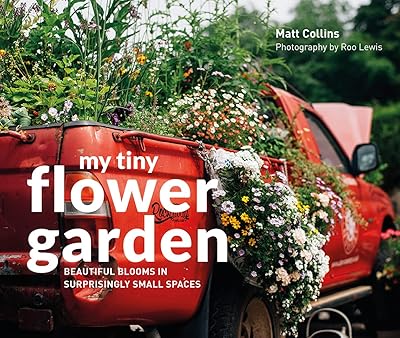 Mon petit jardin de fleurs : de belles fleurs dans des espaces étonnamment petits. La boutique en ligne DIAYTAR COTE D'IVOIRE s'est imposée comme un acteur majeur du commerce électronique en Côte d'Ivoire, grâce à son offre massive de plus de 300000 produits. Elle attire une clientèle très diversifiée qui apprécie la convenance et la flexibilité du shopping en ligne. Les clients peuvent choisir parmi une gamme impressionnante de catégories de produits.