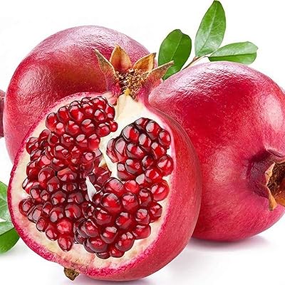 200pcs graines de grenade pour la plantation, grenadier, fruits sucrés, arbustes et plantes naines, graines de grenade. DIAYTAR COTE D'IVOIRE, c'est plus que juste une boutique en ligne - c'est une expérience de shopping en ligne personnalisée et pratique. Avec notre large choix de produits et notre service client dédié, nous sommes là pour rendre vos achats en ligne aussi faciles et agréables que possible. Rejoignez notre communauté de clients satisfaits et découvrez les avantages de faire vos achats en ligne avec nous.