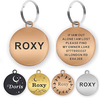 Médaille d'identification pour chiens et chats collier pour animaux de compagnie gravé