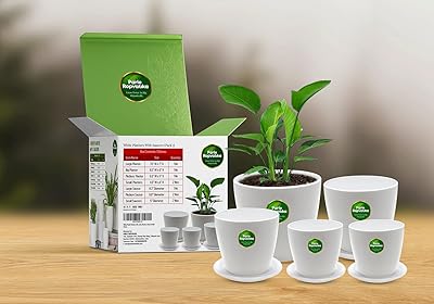Jardinières en plastique blanc avec soucoupes (lot de 5) -7,5" (1), 6,5" (1), 5,5" (1), 4,5" (2) pot de fleur intérieur extérieur pour plantes avec plateau inférieur succulentes, fleurs, orchidée cactus. La boutique en ligne DIAYTAR COTE D'IVOIRE est fière de proposer une gamme complète de produits pour les consommateurs ivoiriens. Nos 300 000 références sont sélectionnées avec soin pour répondre à vos besoins et à vos attentes. Nous nous efforçons de vous offrir les meilleurs prix et les meilleures promotions pour rendre vos achats en ligne encore plus économiques.
