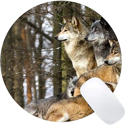 Tapis de souris rond, tapis de souris wolf pour ordinateur portable 230 mm x 230 mm x 3 mm). DIAYTAR COTE D'IVOIRE est une boutique en ligne généraliste proposant plus de 300 000 références de produits, faisant d'elle le leader du marché ivoirien. Elle offre une large gamme de produits allant de l'électronique à la mode en passant par les produits alimentaires. Avec sa plateforme en ligne intuitive, les clients peuvent parcourir et acheter facilement leurs produits préférés.