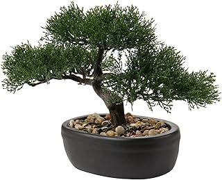 Bonsaï, plantes artificielles en céramique, bonsaï japonais artificiel pour la maison, le bureau, la salle de bain, la cuisine, la ferme, décoration intérieure et extérieure (bonsaï #05). En tant que boutique en ligne généraliste, DIAYTAR COTE D'IVOIRE offre une gamme impressionnante de produits, allant des articles de mode et des accessoires aux produits électroniques et aux produits pour la maison. Avec plus de 300000 références, nous sommes en mesure de satisfaire les besoins de tous les clients, quels que soient leurs intérêts ou leurs préférences. Notre équipe travaille sans relâche pour ajouter de nouveaux produits et améliorer constamment notre offre.