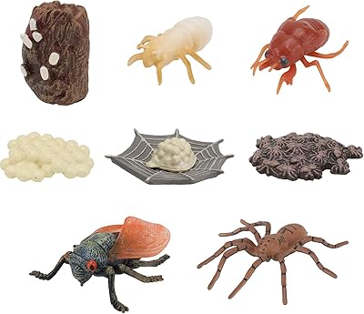 2 ensembles de figurines d'insectes cycle de vie d'une araignée, modèle de cycle