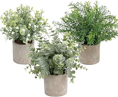 Sekin lot de 3 mini plantes artificielles en pot en plastique, plantes d'eucalyptus