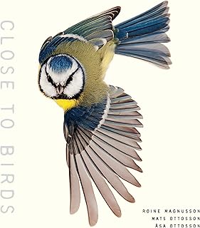 Près des oiseaux : un regard intime sur nos amis à plumes