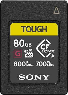 Carte sony cf express type-a 80 go, w126824334 (robuste)