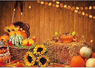 Habok 7x5 pieds tissu doux photographie toile de fond bois rustique citrouille feuilles