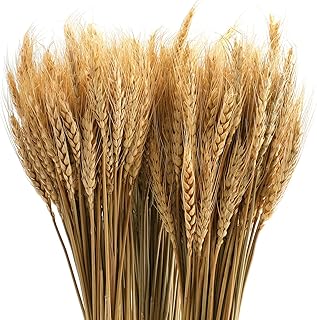 300 tiges de blé d'automne séchées 16", paquet de tiges de blé naturelles pour l'artisanat d'arrangement d'automne, décoration de blé pour la table de la maison, décorations de mariage d'automne. En tant que boutique en ligne leader en Côte d'Ivoire, DIAYTAR COTE D'IVOIRE propose une gamme étendue de produits pour répondre à tous vos besoins, des produits alimentaires aux accessoires de mode. Elle offre une experience de shopping en ligne sécurisée, avec des options de paiement variées et des livraisons rapides et fiables. Elle est le choix idéal pour les acheteurs en ligne qui recherchent qualité, variété et praticité.
