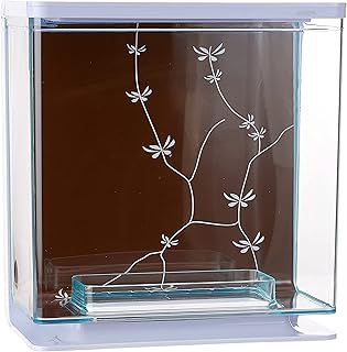 Ensemble fluval marina betta 3 litres
