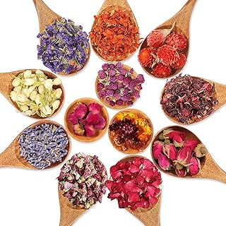 Kit de fleurs séchées naturelles castwave, fleurs séchées pressées pour la fabrication