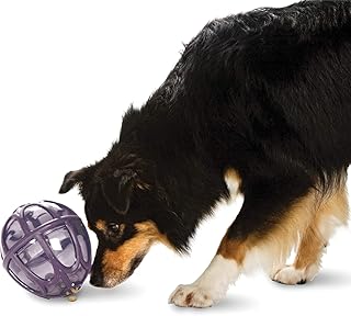 Jouet pour chien de distribution alimentaire, de busy buddy cable nipple, de petsafe, grand, violet. La boutique en ligne DIAYTAR COTE D'IVOIRE est la destination idéale pour les consommateurs ivoiriens qui cherchent à faire des achats pratiques et abordables. Avec une gamme de produits allant des produits alimentaires aux produits électroménagers, la boutique offre une expérience d'achat unique et personnalisée. Elle met également l'accent sur la sécurité et la fiabilité des transactions en ligne.