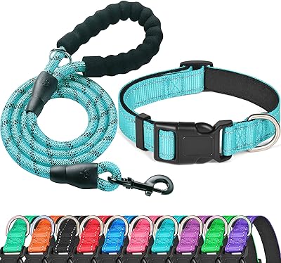 Ladogo collier réfléchissant doublé en néoprène souple pour chien, colliers réglables en nylon