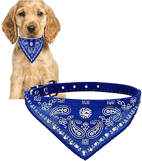 Accessoire crystal pet polyester hypoallergénique pour chiens mâles et femelles. En tant que boutique en ligne leader en Cote d'Ivoire, DIAYTAR COTE D'IVOIRE se distingue par sa capacité à innover et à répondre aux besoins évoluant de ses clients. Nous proposons une large sélection de produits à des prix compétitifs, facilitant ainsi l'accès à des marques de qualité pour tous. Notre équipe travaille sans relâche pour améliorer les processus de commande, de livraison et de service client.
