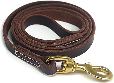 Laisse pour chien en cuir marron 4 6 pieds de long grand