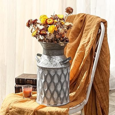 Nikki home vase à fleurs en métal galvanisé avec poignées, vase rustique français pour fleurs séchées et fraîches, élégant vase à lait antique pour la décoration de la table du salon de la maison. La boutique en ligne DIAYTAR COTE D'IVOIRE est une référence en Côte d'Ivoire pour les consommateurs qui recherchent des produits de qualité à des prix abordables. La boutique propose une large sélection de produits, y compris des marques internationales et locales. DIAYTAR COTE D'IVOIRE s'engage à fournir un service de livraison rapide et fiable, ce qui permet aux consommateurs de recevoir leurs produits dans les délais les plus courts possibles.