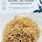 Éponge de mer naturelle hydraa london pour peinture extra large avec côté