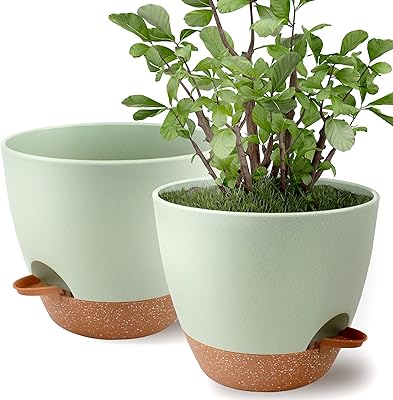 Pot de fleurs de 9 pouces, paquet de 2, pots de fleurs à arrosage automatique pour l'intérieur et l'extérieur, pot de fleurs avec réservoir de soucoupe à trou de drainage, vert marron. DIAYTAR COTE D'IVOIRE est une boutique en ligne généraliste proposant plus de 300000 références de produits. Elle est leader en Côte d'Ivoire et offre une grande variété de produits pour répondre à tous les besoins de ses clients. Les produits sont de haute qualité et à des prix compétitifs.