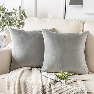 Vanto scoop lot de 2 housses de coussin décoratives en velours carré doux uni pour canapé. Diaytar Côte d'Ivoire propose une expérience d'achat en ligne unique et pratique, avec des produits allant de l'électronique à la mode en passant par les produits alimentaires.