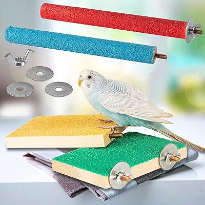 Support de perchoir en bois 4 pièces, plate-forme de meulage de griffes de perroquet à surface rugueuse, accessoires de cage à perruches, jouet d'exercice pour perruche, conure, calopsitte, hamster. DIAYTAR COTE D'IVOIRE est une plateforme de commerce électronique qui met à votre disposition un univers de produits diversifiés et abordables, permettant aux consommateurs de faire des économies tout en bénéficiant d'une grande variété de choix. Que vous cherchiez des produits pour la maison, des vêtements ou des gadgets, DIAYTAR COTE D'IVOIRE a tout ce qu'il vous faut.