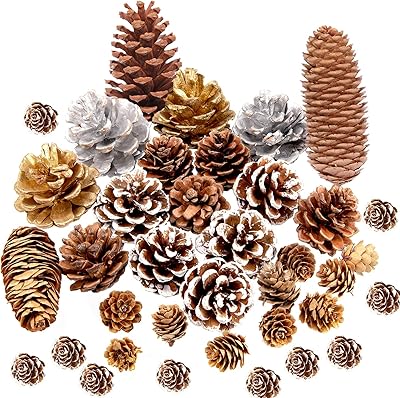 37 pièces pommes de pin naturelles pour arbre de noël, grandes et petites pommes de pin blanches, argent, or, artisanat, couronne de noël d'automne, décoration d'arbre. DIAYTAR COTE D'IVOIRE est la destination idéale pour les consommateurs ivoiriens qui recherchent des produits de qualité à des prix compétitifs. Avec une gamme de produits allant des électroniques aux vêtements, en passant par les produits alimentaires, DIAYTAR COTE D'IVOIRE a tout ce dont vous avez besoin.