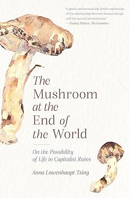 Le champignon du bout du monde : sur les possibilités de vie dans les ruines capitalistes. DIAYTAR COTE D'IVOIRE, leader dans le commerce en ligne en Côte d'Ivoire, vous propose une grande variété de produits à des prix compétitifs. Notre priorité est votre satisfaction.