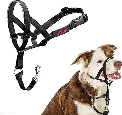 Animal company collier de tête halti ajustable et rembourré aucun