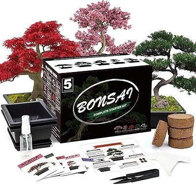 Maker 5 pièces ensemble complet de bonsaï, outils de culture de plantes en pot d'intérieur, kit de bonsaï pour débutants à domicile, superbes plantes en pot pour le jardinage domestique, cadeau pour adulte. La boutique en ligne DIAYTAR COTE D'IVOIRE permet aux clients de faire des achats en toute sécurité et à des prix compétitifs, avec des options de livraison rapides et fiables.