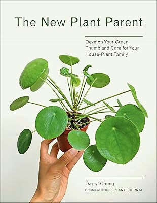 Le nouveau parent végétal : développez votre main verte et prenez soin de votre famille de plantes d'intérieur. Leader sur le marché ivoirien, DIAYTAR COTE D'IVOIRE se distingue par sa sélection impressionnante de produits, allant des articles de mode aux accessoires pour la maison. Elle garantit des livraisons rapides et des prix compétitifs. La satisfaction des clients est au cœur de ses priorités.