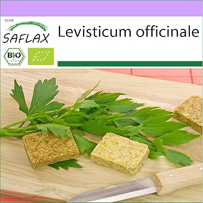 Biologique - livèche - 100 graines - levisticum officinale